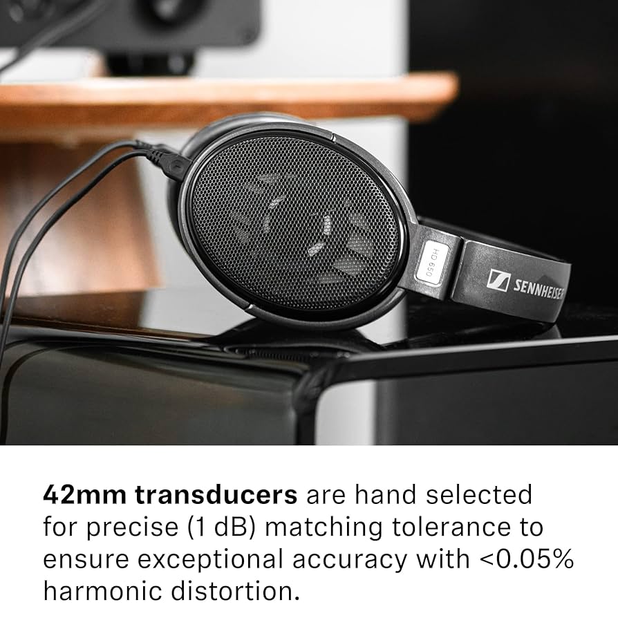 Sennheiser Consumer Audio HD 650 Open Back Audiophile Headphones